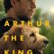 Arthur The King (2024) Hindi WEB-HD (HQ Line Audio) Watch Online
